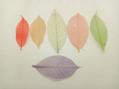 arts-and-craft-leafs